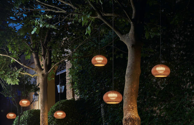 Lanternes dans un arbre.jpg